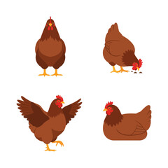 Various poses of a brown hen in different positions.