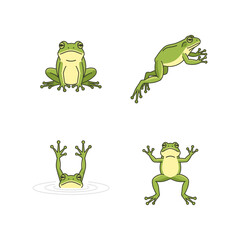 Cute cartoon frog collection with various poses