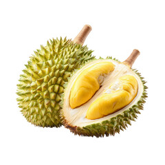 Obraz premium Fresh durian fruit, halved, displaying yellow flesh