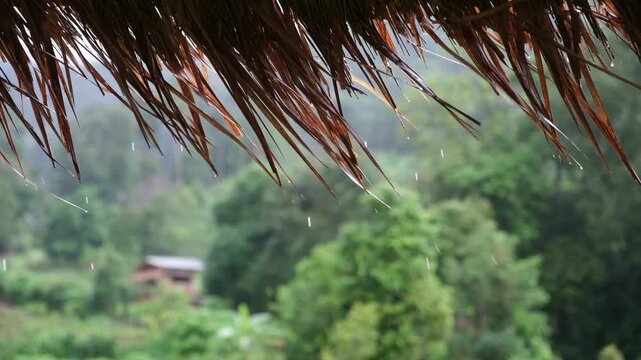 Raining over the grass hut roof in countryside