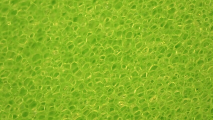 Detailed view of a dishwashing sponge in macro shot