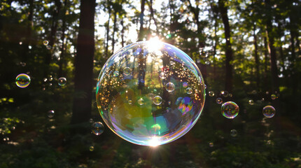Magical Soap Bubble Floating in Sunlit Forest