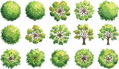 Vector top and side view tree set, flat green foliage design for landscape map, game assets, city planning, isometric garden illustration