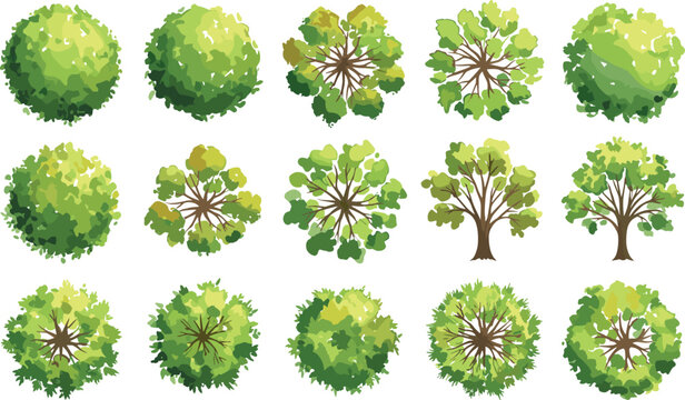 Vector top and side view tree set, flat green foliage design for landscape map, game assets, city planning, isometric garden illustration