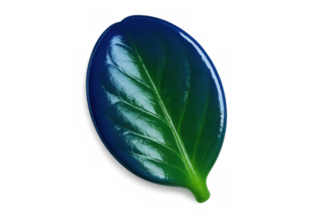 Green leaf gradient blending blue border, symbolizing environmental freshness, organic development, natural harmony