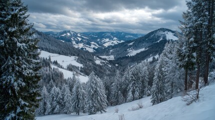 Snowy mountain forest landscape