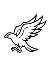 Attacking  fly eagle tattoo  dove with  feather design icon line airt vactor Illustrations on white background.