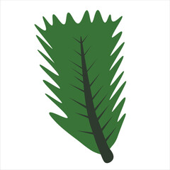 Green leaves palm leaves spring element illustration vector file