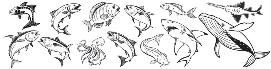 Various Marine Life Illustrations