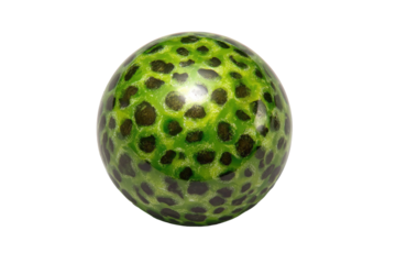 A glossy, round sphere, vibrant green with dark spots resembling a leopard print.  The pattern appears textured and slightly reflective