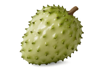 Rotating soursop fruit isolated on a transparent background with an alpha channel, highlighting its unique texture and vibrant green color