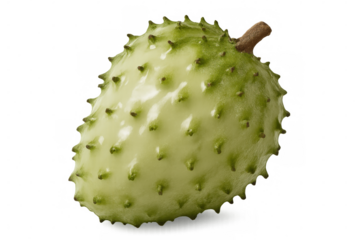 Rotating soursop fruit isolated on a transparent background with an alpha channel, highlighting its unique texture and vibrant green color