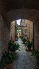 Obraz premium narrow street in spello in umbria