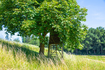 Landscape of fields, meadows and forest with a wooden cottage for observation