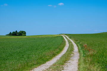 Path and car way in the green grassland and the blue sky
