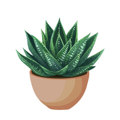 Minimal flat vector of a Haworthia, 2D icon-style illustration on white background