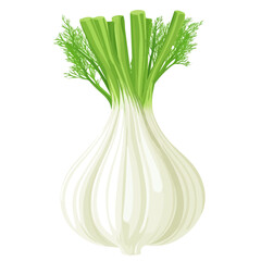 2D flat vector illustration of a Fennel Salad in icon style, isolated on white background