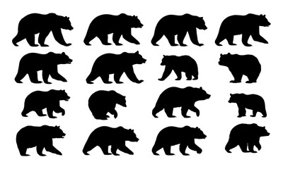 Silhouettes of wild bears in diverse postures — standing, walking, sitting. Grizzly mammal outlines in natural forest and mountain habitats, nature wildlife collection, eco conservation