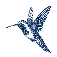 hummingbird in flight vintage line drawing, decorative sketch Hand Drawn on Transparent Background © 7nov.studio