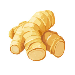 2D flat vector illustration of a Ginger in icon style, isolated on white background