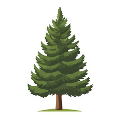 Flat 2D Cypress Pine Tree illustration, vector graphic in icon style, on white background