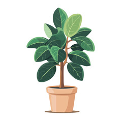 2D flat vector illustration of a Ficus Elastica in icon style, isolated on white background