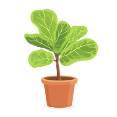 Minimal flat vector of a Fiddle Leaf Fig, 2D icon-style illustration on white background