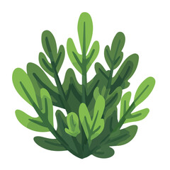 2D flat vector illustration of a Euphorbia in icon style, isolated on white background