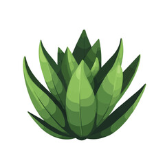 Minimal flat vector of a Haworthia, 2D icon-style illustration on white background