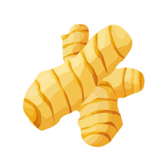 Flat 2D Ginger illustration, vector graphic in icon style, on white background