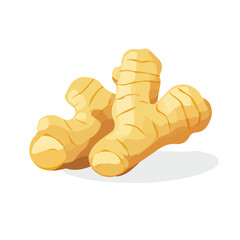 Flat 2D Ginger Root illustration, vector graphic in icon style, on white background