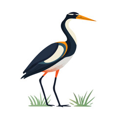2D flat vector illustration of a Jacana in icon style, isolated on white background