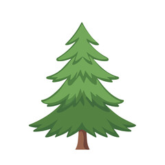 Flat 2D Fir Tree illustration, vector graphic in icon style, on white background