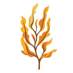 Minimal flat vector of a Kelp, 2D icon-style illustration on white background