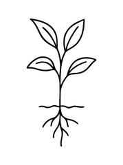 Simple line drawing of a young plant with roots growing isolated on white background