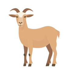 Obraz premium Goat, flat style 2D vector image, isolated on a white background