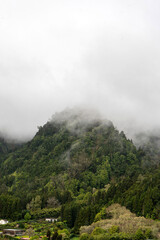 Misty forest landscape in São Miguel Island, Azores. Clouds gently rolling over lush green tree-covered mountains. Serene, moody and natural atmosphere.