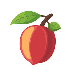 Jujube, flat style 2D vector image, isolated on a white background