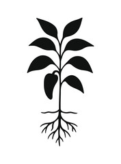 Black silhouette of a young plant with leaves and roots isolated on white background