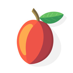 Jujube, flat style 2D vector image, isolated on a white background