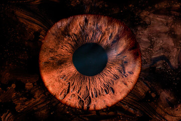 human eye iris in the dark