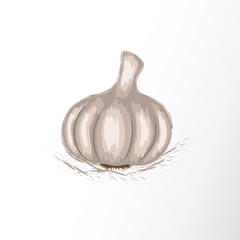 Watercolor style Fresh garlic. vector illustration. Vegetable