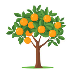 Orange Tree, flat style 2D vector image, isolated on a white background