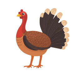 Minimal flat vector of a Turkey, 2D icon-style illustration on white background