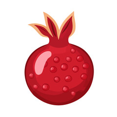 Minimal flat vector of a Pomegranate, 2D icon-style illustration on white background