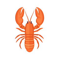 Flat 2D Lobster Tail illustration, vector graphic in icon style, on white background