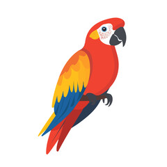 Flat 2D Parrot illustration, vector graphic in icon style, on white background