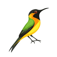 Minimal flat vector of a Sunbird, 2D icon-style illustration on white background
