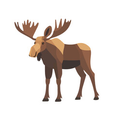 Flat 2D Moose illustration, vector graphic in icon style, on white background
