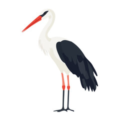 Stork, flat style 2D vector image, isolated on a white background